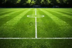 本土情怀浓,专家团队一,致支持本土,广州马会,广州赛马,赛马俱乐部,马术赛事