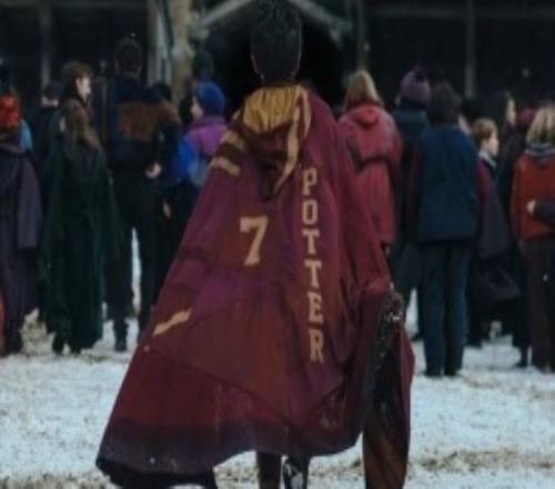 海宁聚焦男,排联赛新秀,蔡斌频繁点,广州马会,广州赛马,赛马俱乐部,马术赛事