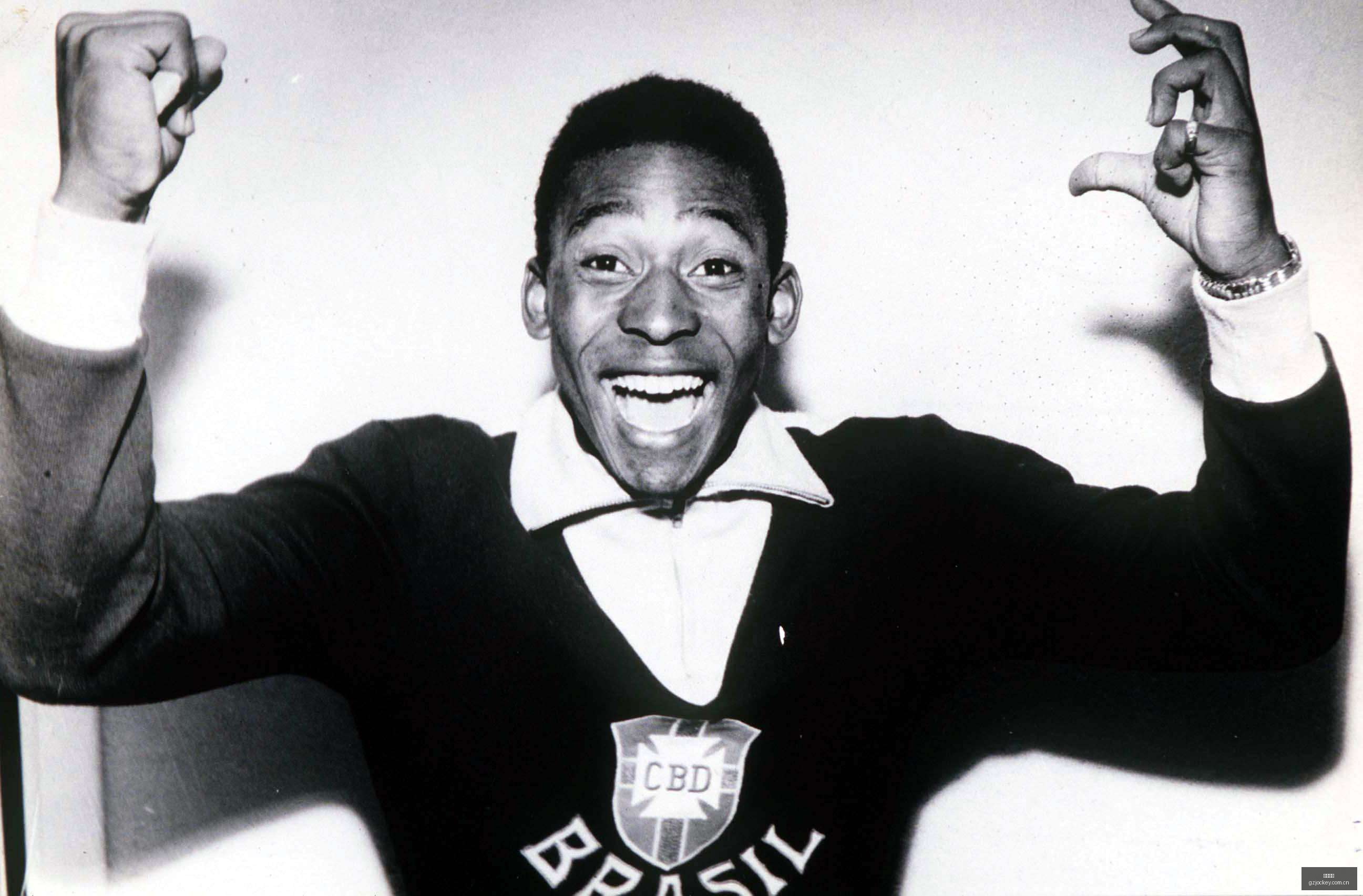 热门炸裂玩,法盘点,深度攻略,广州马会,广州赛马,赛马俱乐部,马术赛事