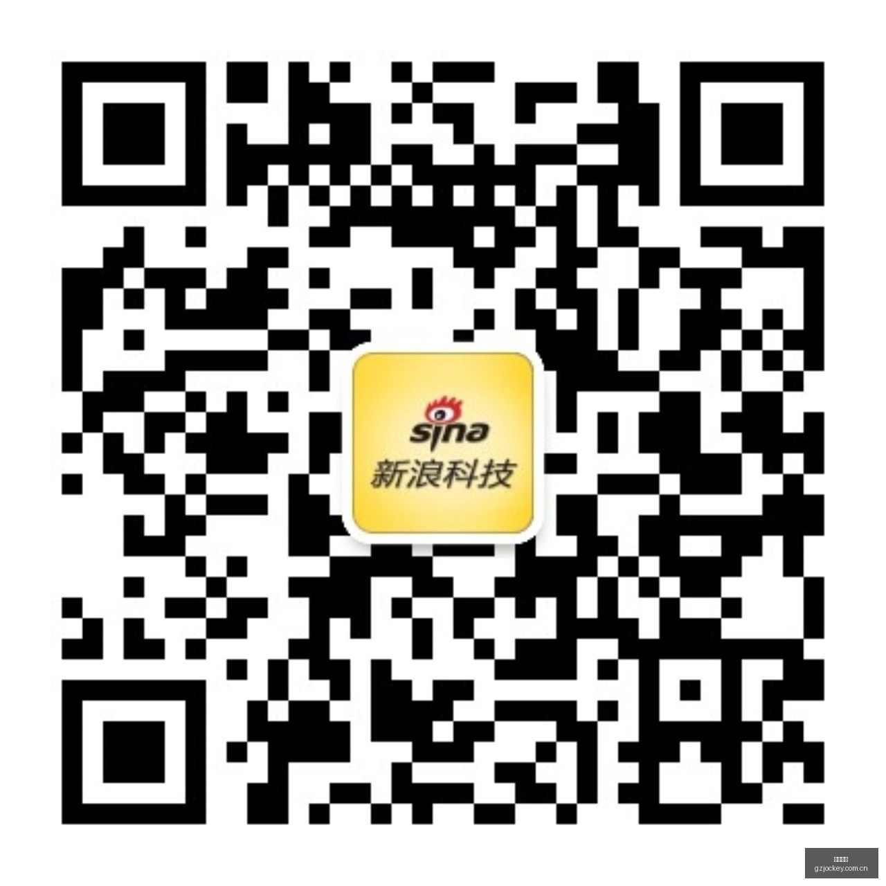 独家报道,习近平与乌,兹别克斯坦,广州马会,广州赛马,赛马俱乐部,马术赛事
